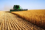 agriculture-surety-bond