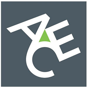 The ACE Group Insurance Review & Complaints: Auto, Home, Umbrella & Business (2025)