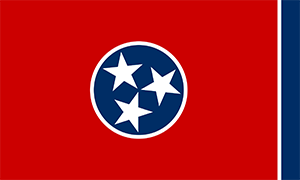 Tennessee Car Insurance Laws (2024)