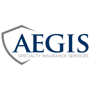 Aegis Security Insurance