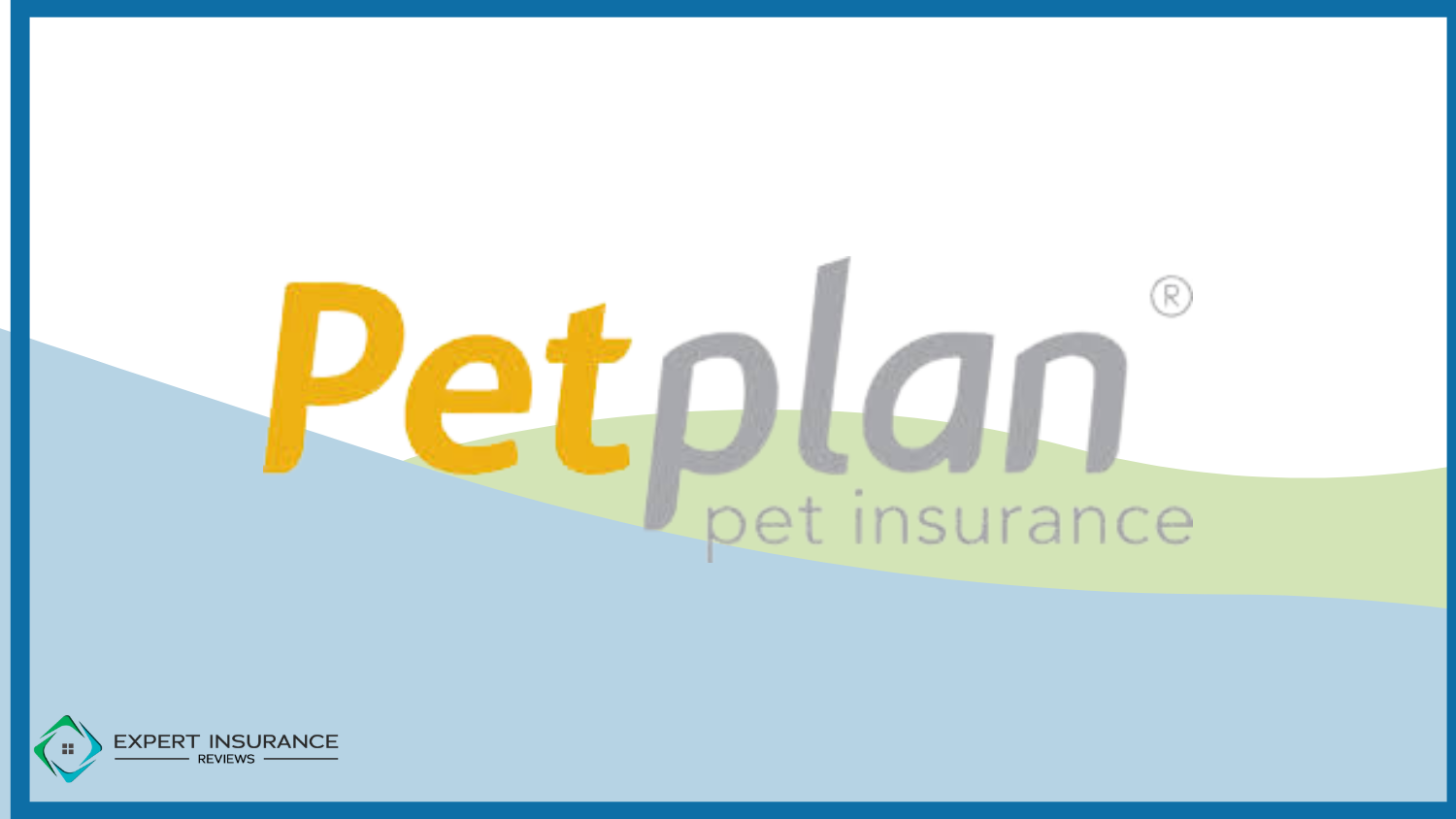 Best Pet Insurance for Service Animals: Petplan
