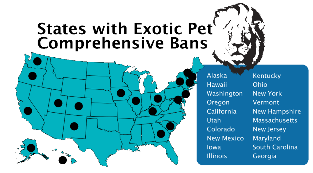 Exotic Pet Ownership Legalities, Liabilities, & Insurance Guide (2024